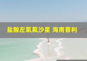 盐酸左氧氟沙星 海南普利